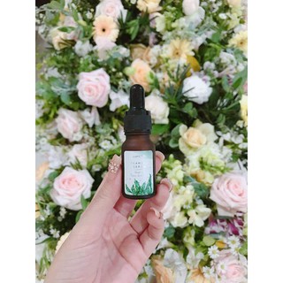 SERUM TẢO BIỂN - SEAWEED SERUM