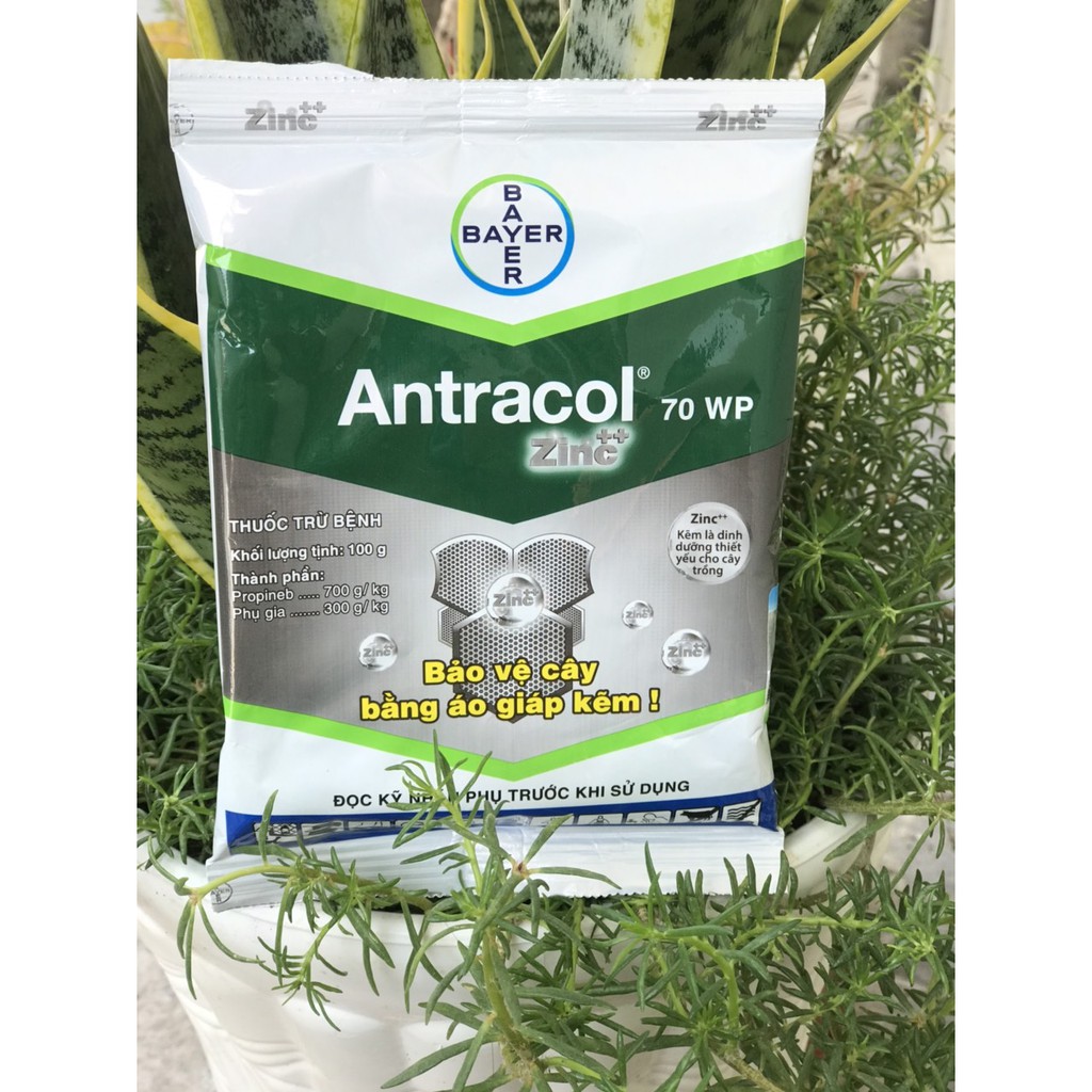 Antracol thuốc trừ bệnh cây trồng 100g/gói