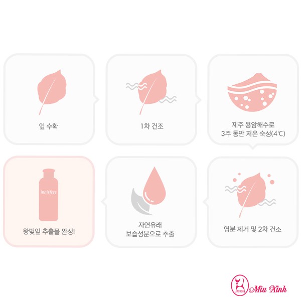 KEM DƯỠNG [INNISFREE] Jeju Cherry Blossom Jelly Cream