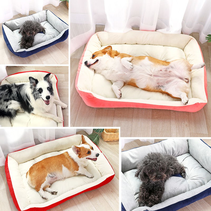 mẫu mới năm 2021♈◘♛Net Red Four Seasons Pet Dog Mat Teddy Cat LOUD LỚN TEDI cung cấp Giường