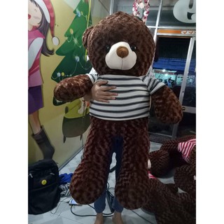 Gấu bông Teddy 1M