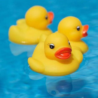 Đàn vịt thả bồn tắm cho bé