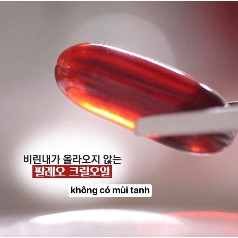 Dầu nhuyễn thể Krill Oil 100 - 1000mg hộp 30 viên