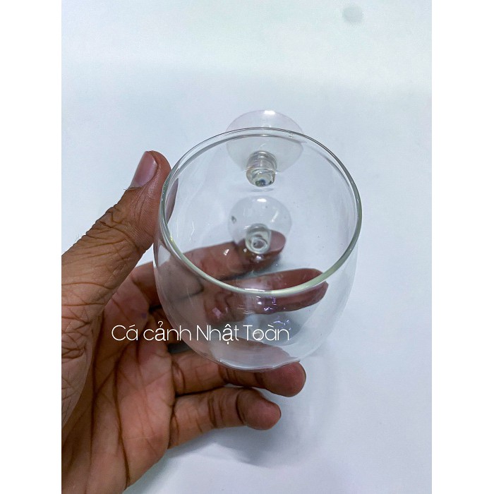 CỐC ĐỂ TRỒNG CÂY THỦY SINH 6CM