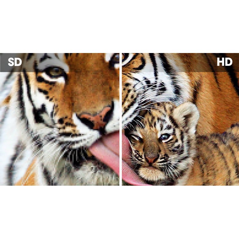 [Siêu rẻ]SẢN PHẨM MỚI TIVI HIỆU JINGZHAN 43 INCH HÌNH ẢNH SẮC NÉT HÀNG CHÍNH HÃNG BẢO HÀNH 1 NĂM | BigBuy360 - bigbuy360.vn