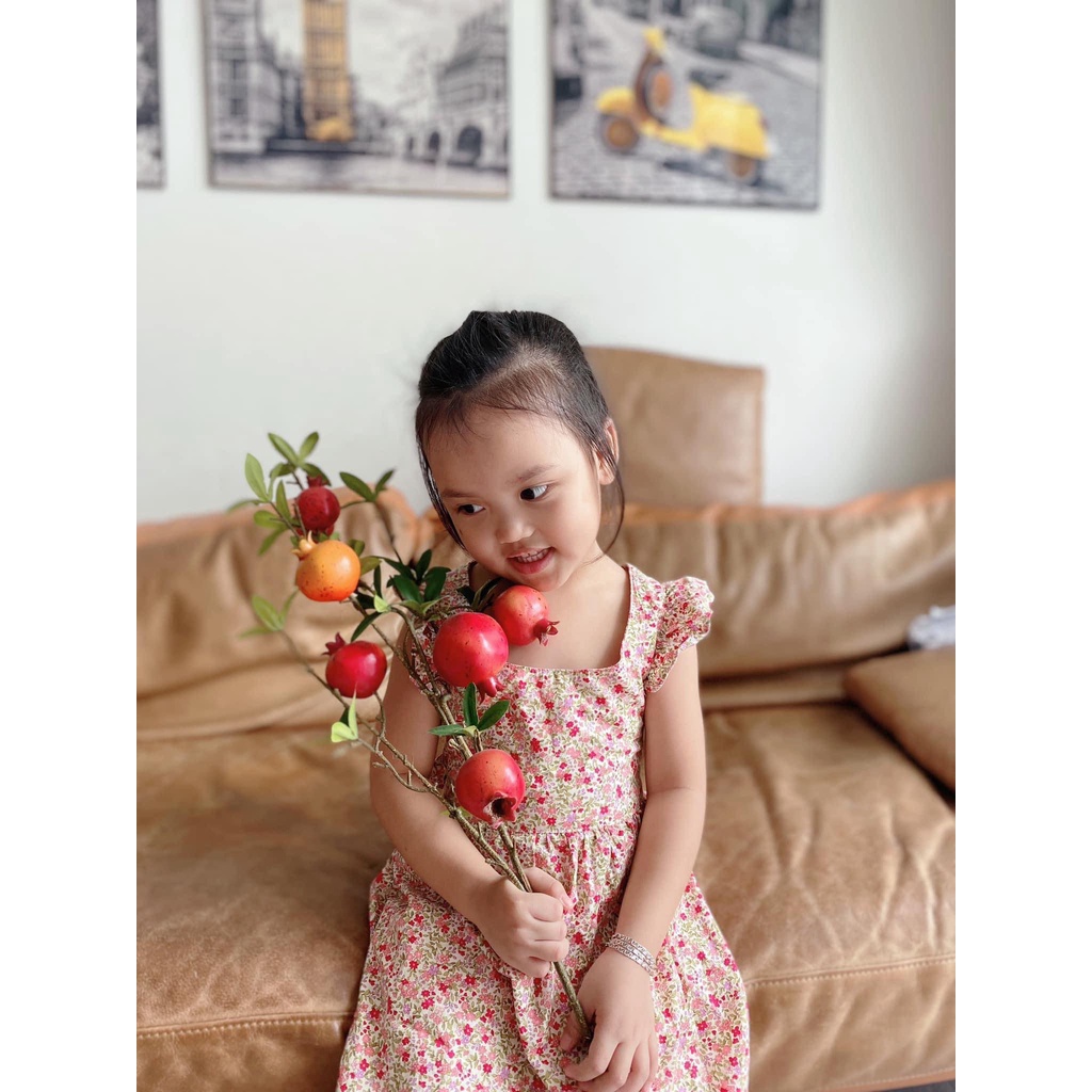 Đầm/ Váy Bé Gái Chất Cotton Thô Họa Tiết Hoa Nhí Xinh Xắn - EDNA DRESS - DRC004 - SAOLA KIDS CLOTHING