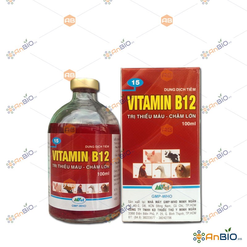 VITAMIN B12 Chai 100ml - A1.1028
