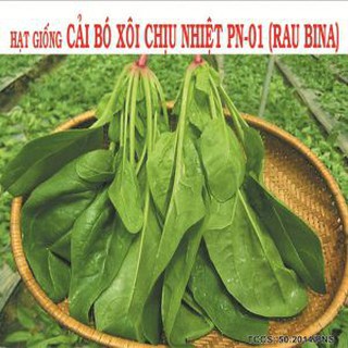 CẢI CHÂN VỊT (BÓ XÔI) CHỊU NHIỆT - 20g nhập khẩu-  chuyên dụng.