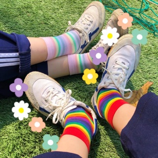 Tất/vớ cầu vồng Rainbow Sock (ảnh thật)