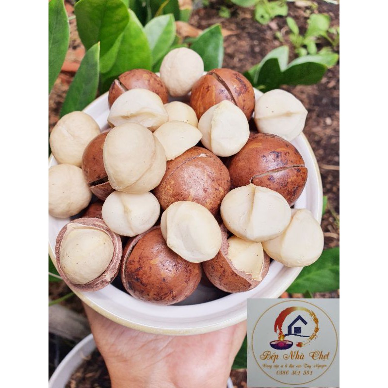 Hạt Macca Gia Lai 500gr -Hạt macca dinh dưỡng, nữ hoàng các loại hạt