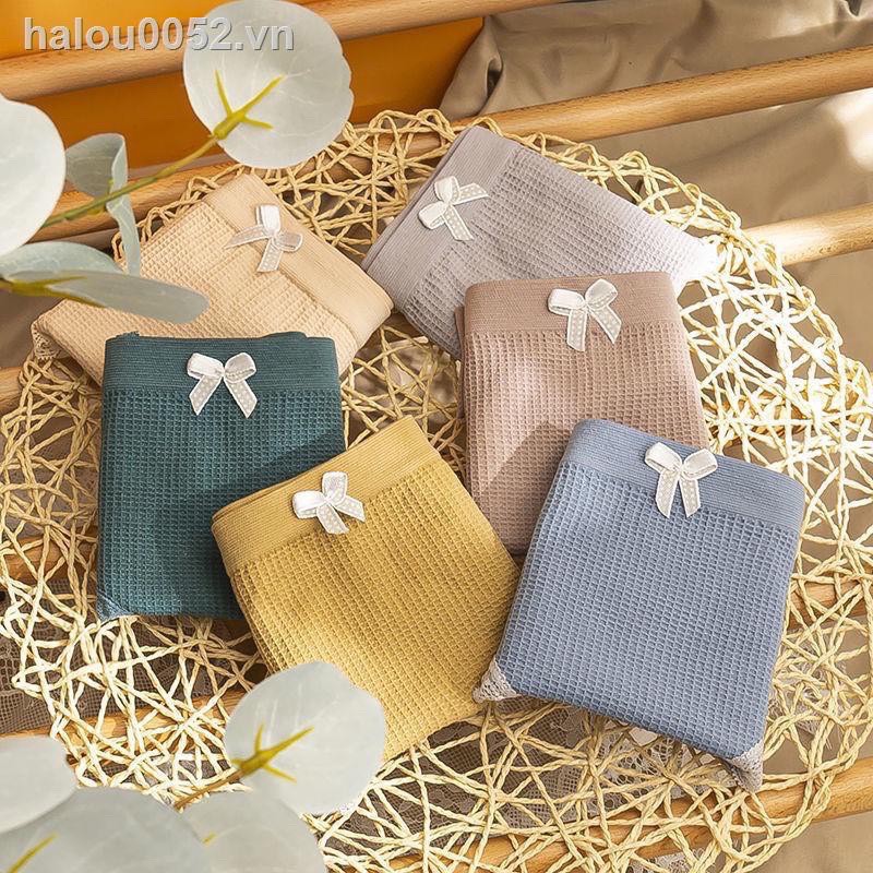 Quần Lót Nữ Cotton Nơ Tông Màu Solid Color 3312