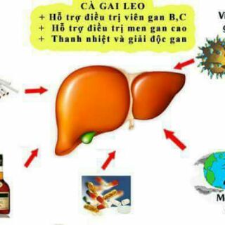 CÀ GAI LEO KHÔ 1KG