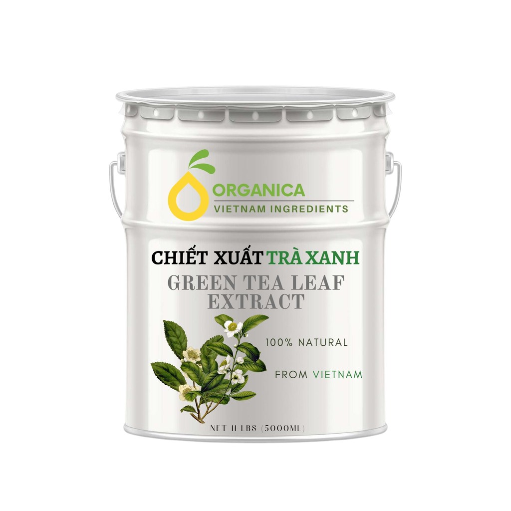 Chiết xuất trà xanh (Green tea extract) - Chiết xuất thiên nhiên (Natural extract)
