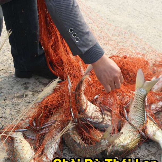 Chài Bắt Cá Cao Cấp Thái Lan Mắt Mau Chân Chì LU03 Chuyên Đánh Bắt Thủy Sản, Chì Đúc - Sanami Fishing