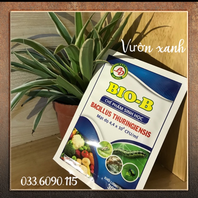 Chế phẩm sinh học Bio-B gói 30g (bio b)