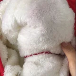 Phao trẻ em lót lông