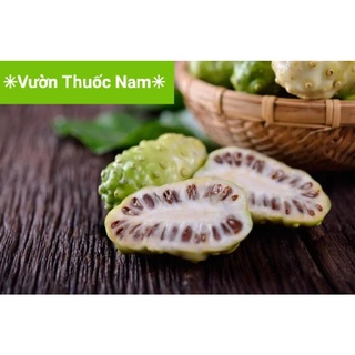 Trái nhàu tươi vườn nhà , trái nhàu thái lát phơi khô