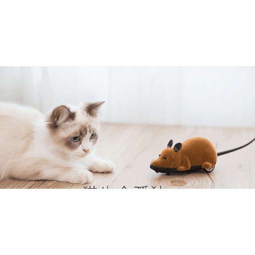 ĐỒ CHƠI MÈO CHUỘT