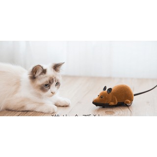 ĐỒ CHƠI MÈO CHUỘT