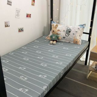 Bộ Chăn Ga Gối Gấu Koala Cotton Poly