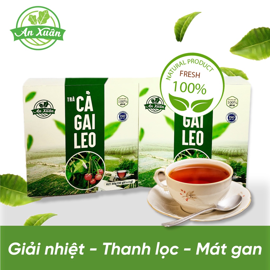 Trà Túi Lọc Cà Gai Leo Giải Độc Gan Hộp 40gr - Giúp mát gan, giải độc gan, thanh nhiệt cơ thể