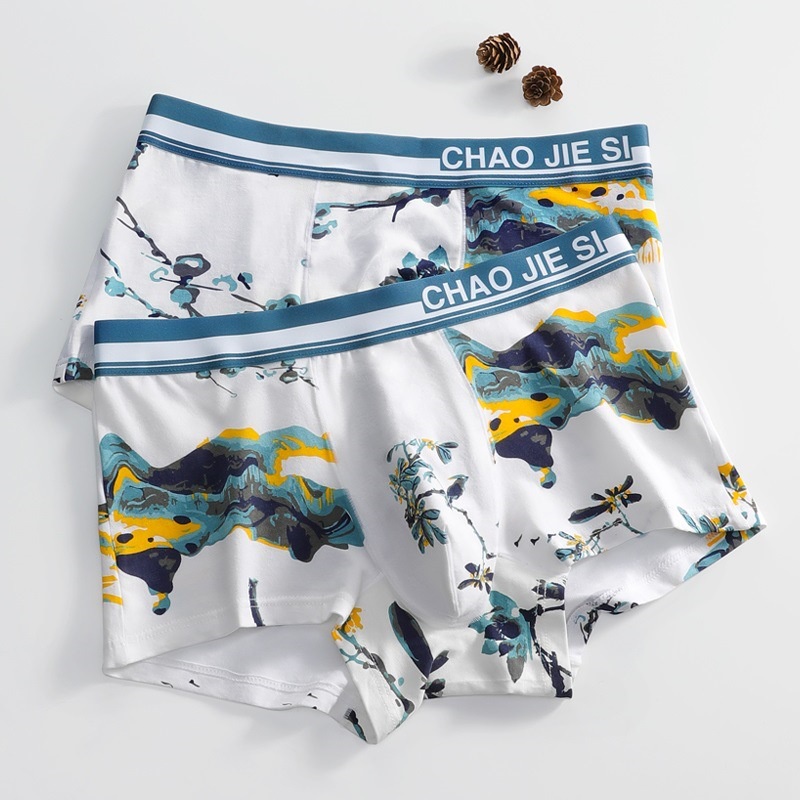 Quần Lót Boxer Chất Liệu Cotton Thoáng Khí Thời Trang Hè Gợi Cảm Cho Nam C537
