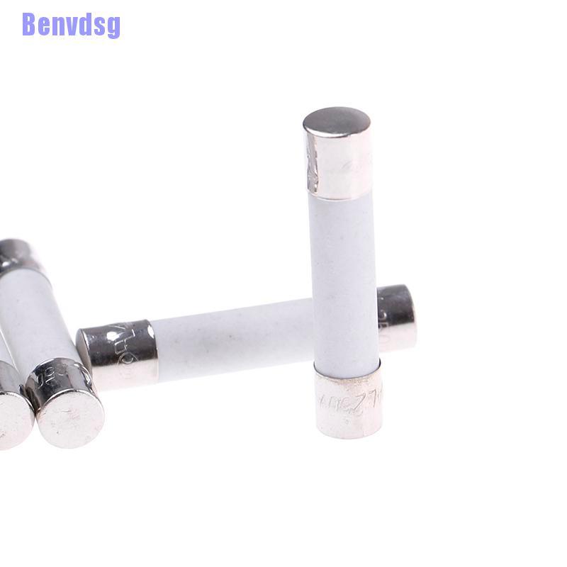 Bộ 10 Cầu Chì Sứ 20A 250V 6X30Mm Cho Lò Vi Sóng