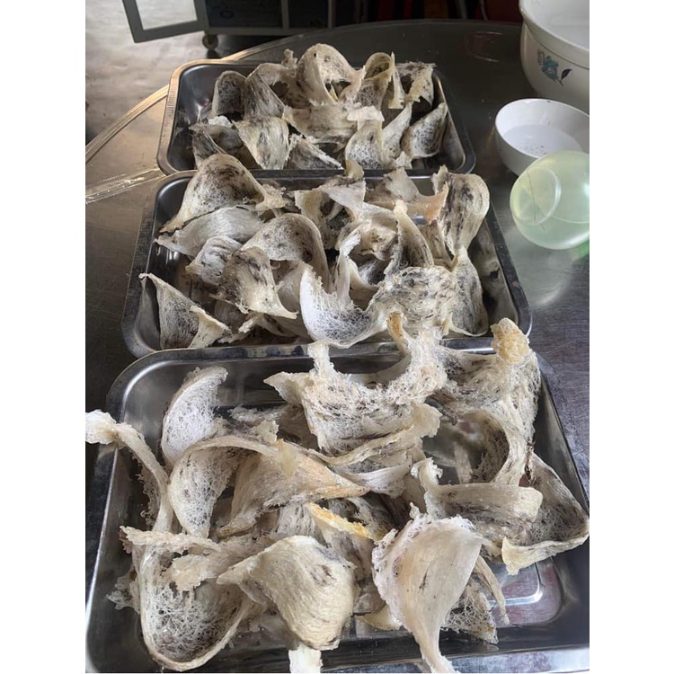 Yến thô nhà nuôi đầu mùa già sợi nở hàng chuẩn 100% Quảng Nam