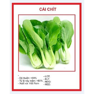 Hạt giống rau Cải chíp (20gr)