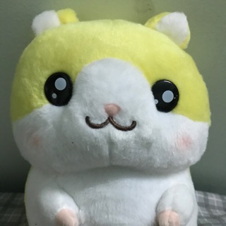 Gấu chuột vàng của Lê Linh