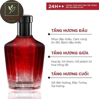 (5 MÙI) Nước hoa nam cao cấp Dynik 50ml