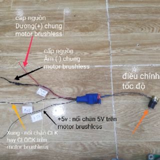 Điều tốc Brushless Motor 12v ~ 24v Version 2