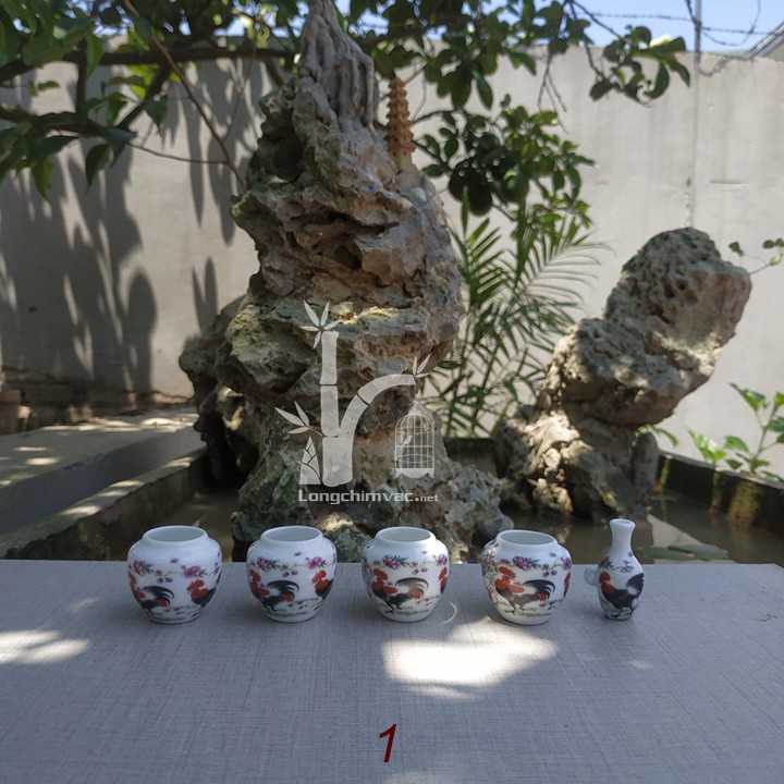 Cóng chim vành khuyên đẹp