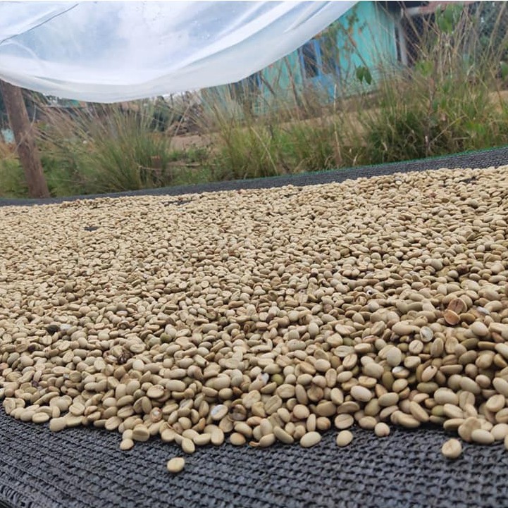 Cà Phê Rang Mộc tỷ lệ 70% Robusta và 30% Arabica | BigBuy360 - bigbuy360.vn