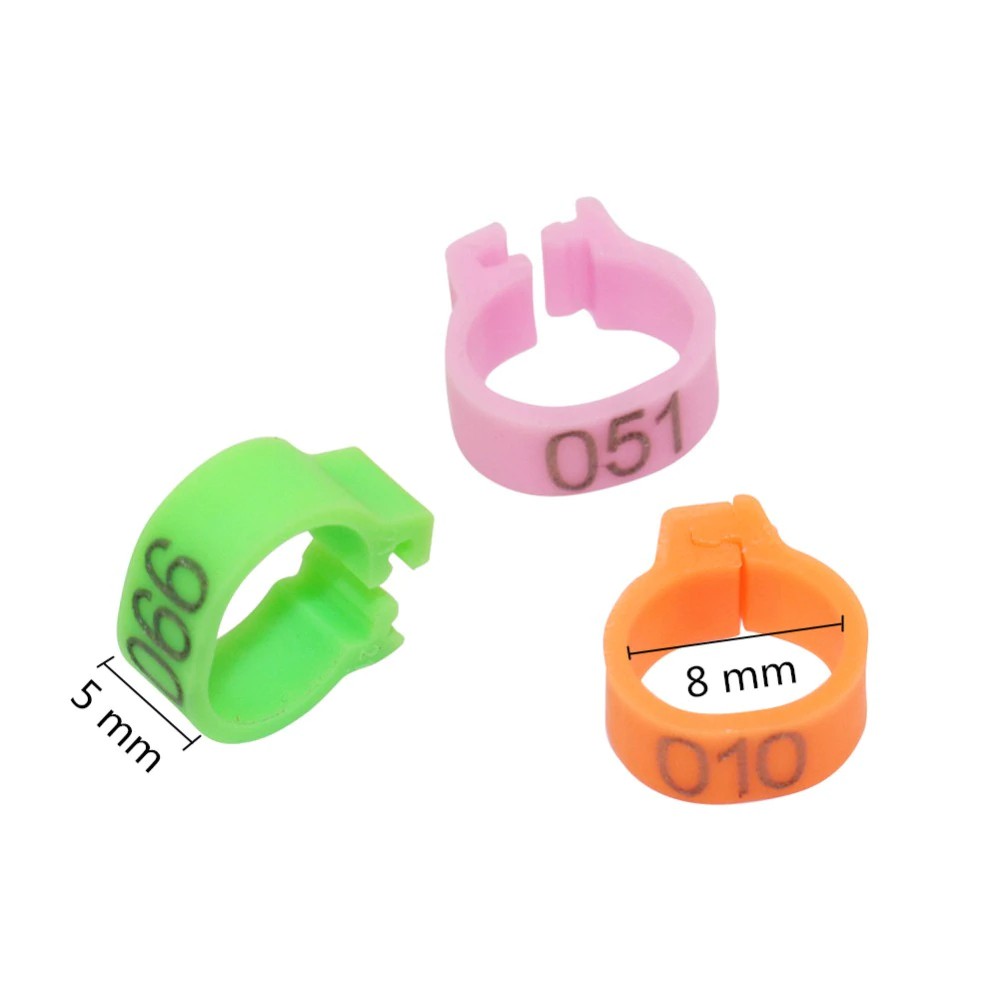 Set 100 vòng chân nhận diện chim bồ câu đường kính 8mm