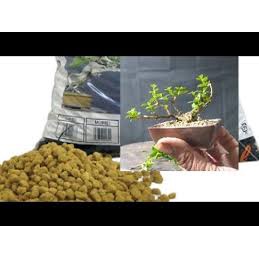Đất Nhật Akadama, đất trồng bonsai, sen đá, xương rồng túi 1kg