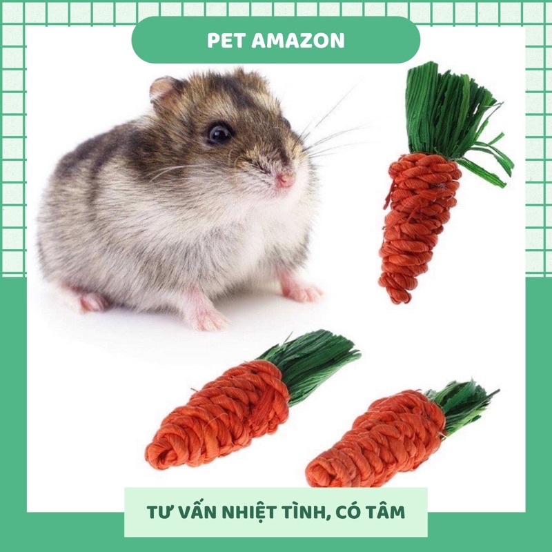 Cà rốt thừn mài răng cho thỏ,bọ ú ,hamster