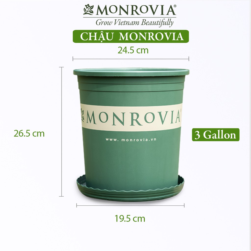 Chậu nhựa trồng cây MONROVIA để bàn, treo ban công, treo tường, ngoài trời, sân vườn, tiêu chuẩn Châu Âu