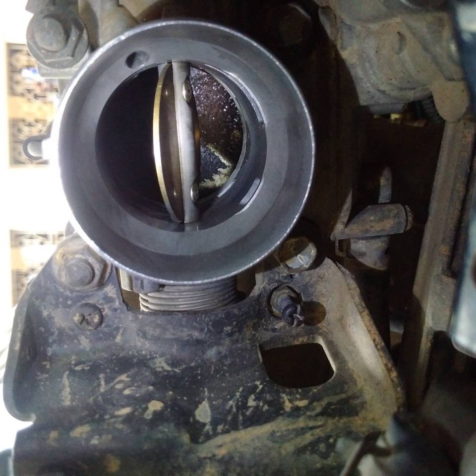 Vệ sinh họng ga , bướm ga Bluechem