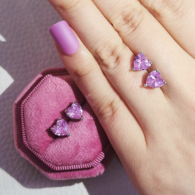 Khuyên Tai Bạc 925 Đính Đá 2022 Thời Trang Sang Trọng Cho Nữ