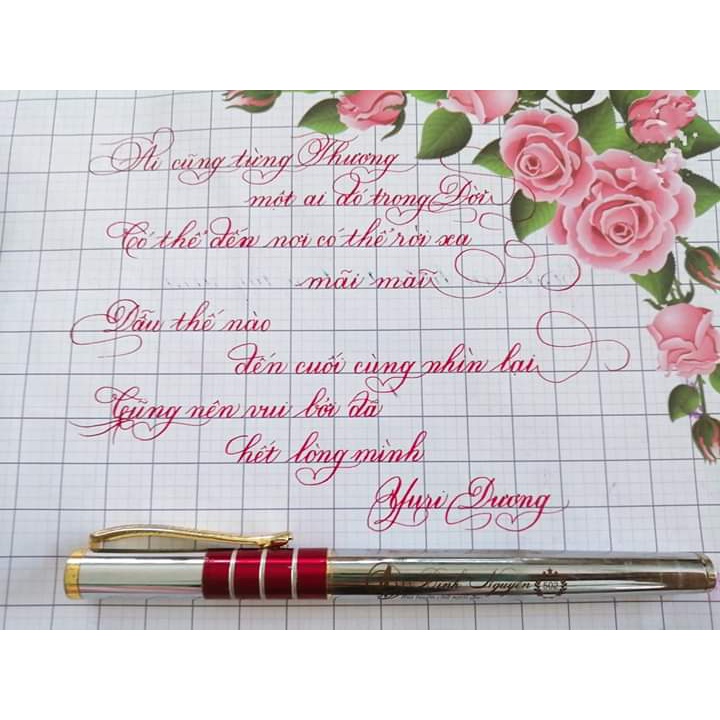 Bút máy luyện chữ đẹp Bình Nguyên 502 bút máy nét thanh đậm ngòi Thép