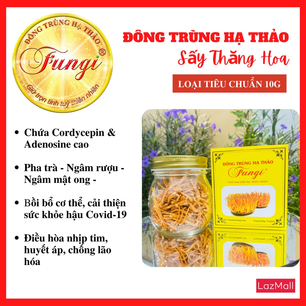 Đông Trùng Hạ Thảo Fungi Sấy Thăng Hoa (10g) [Thế Giới Nấm - Cantho Fresh Food]