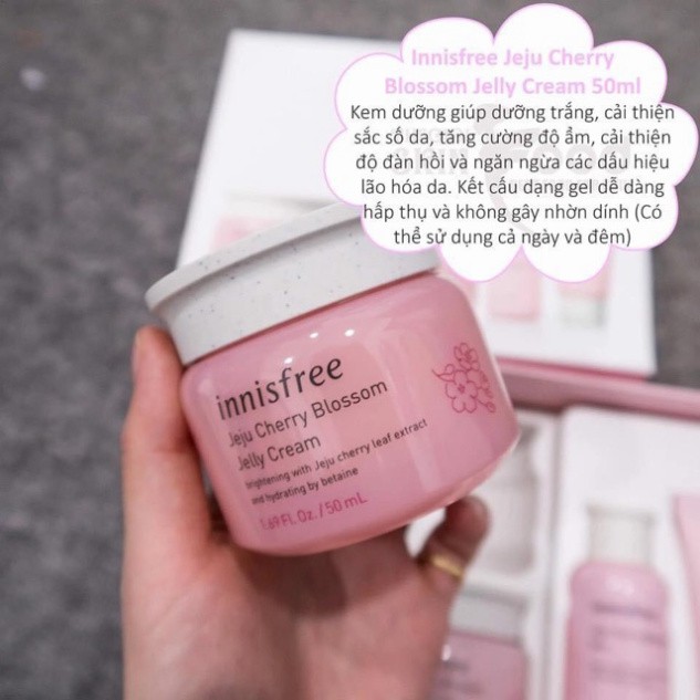 Set Dưỡng Da Hoa Anh Đào Innisfree Jeju Cherry Blossom Cream