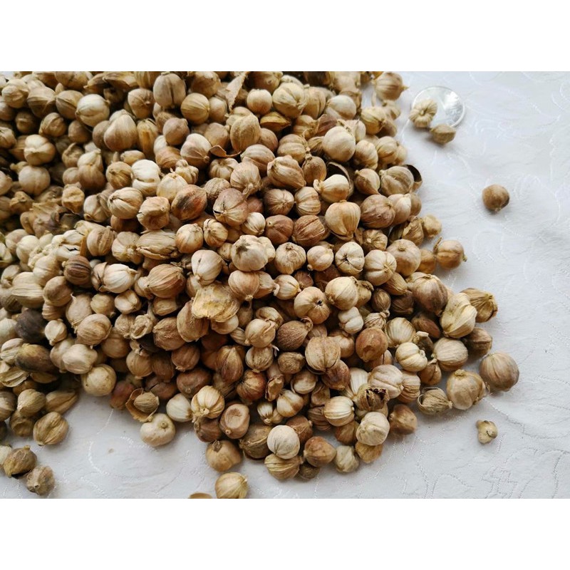 BẠCH ĐẬU KHẤU - HƯƠNG LIỆU MÓN TRUNG