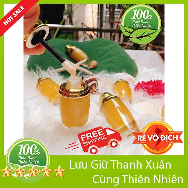 Son Dưỡng Môi Chiết Xuất Từ Tinh Dầu Gấc Nghệ Hạnh Nhân Giúp Giảm Thâm Môi Dưỡng Ẩm