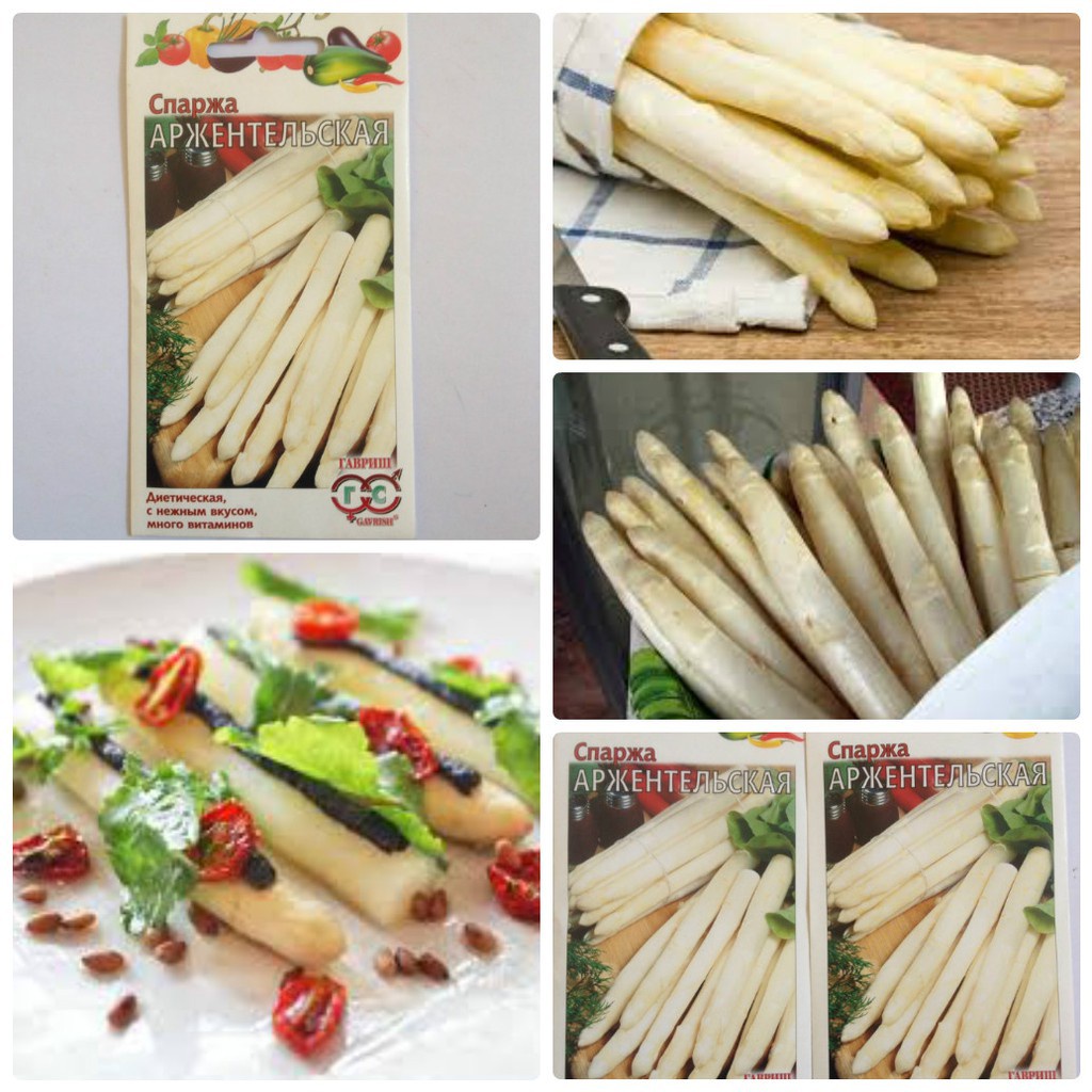 3 loại măng tây ( xanh trắng tím ) - Kèm gói kích hạt nảy mầm