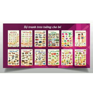 BỘ TRANH TREO TƯỜNG CHO BÉ GỒM 6 TỜ IN 2 MẶT 14 CHỦ ĐỀ VỀ TGXQ
