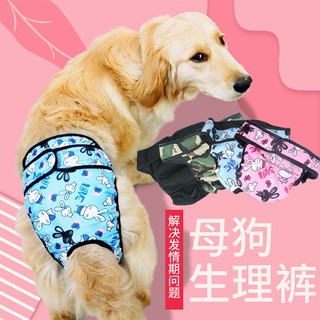 Tả Quần Cho Chó Lớn