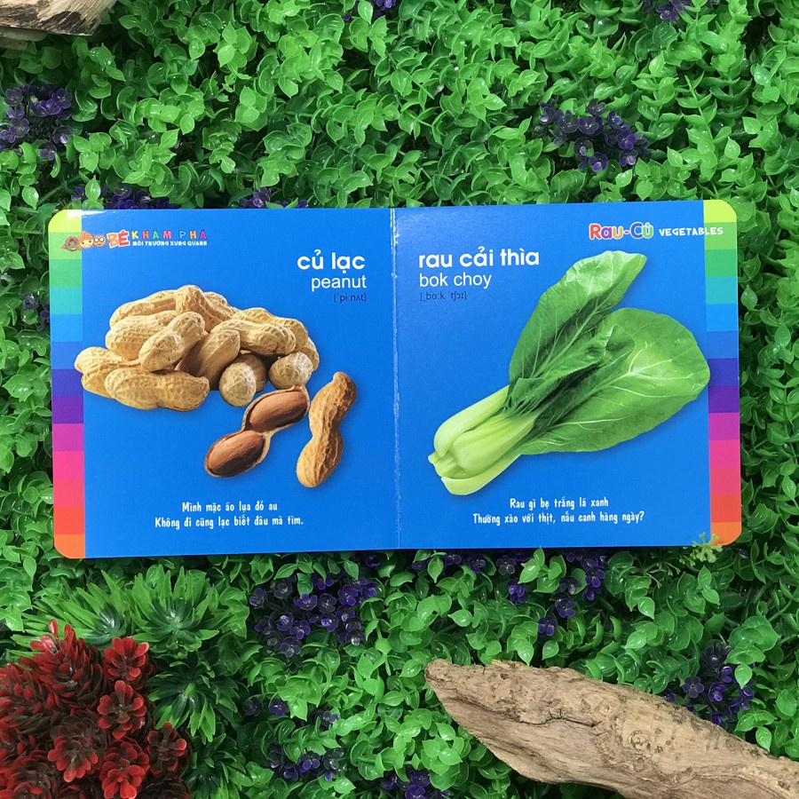 Sách: Bé Khám Phá Môi Trường Xung Quanh - Rau Củ