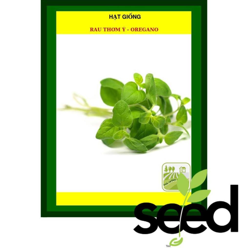 Hạt Giống Rau Thơm Các Loại (Mè Hàn Quốc, Oregano, Parsley, Thyme, Tía Tô Beefsteak plant )